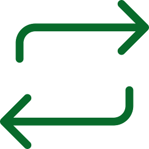 Fix, Switch or Borrow More